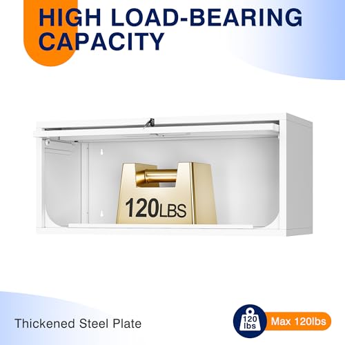 Metal Wall Cabinet with Doors