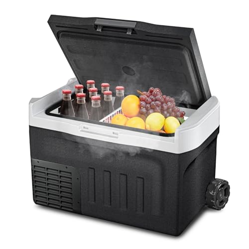 12v Refrigerator 43 Quart