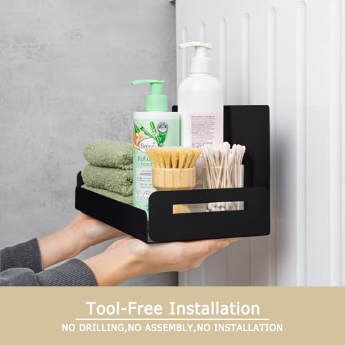 2 Pack Magnetic Spice Rack for Refrigerator (2 Count)