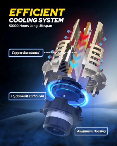 D4S Bulb 60000LM LED Bulb (2 Count)