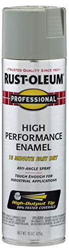 Professional High Performance Stainless Steel Spray Paint (15 Ounce)
