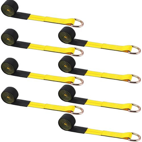 12 Pack 2" x 10ft Lasso Tow Truck Straps with D Ring 11 (12 Count)