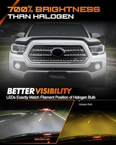 H10 9145 LED Fog Light Bulbs or DRL (2 Count)