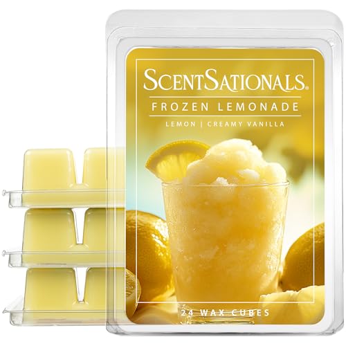 Frozen Lemonade (10 Ounce)
