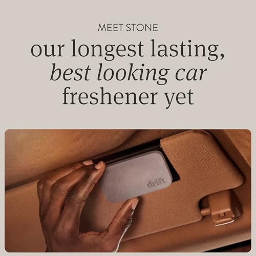 Car Air Freshener (5.3 Ounce)