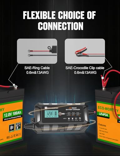12V 10A Battery Charger for Lead