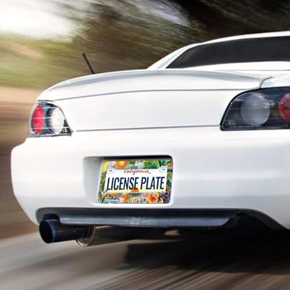 Summer Beach License Plate Frames