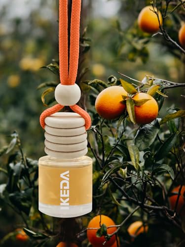 IKEDA Car Air Freshener
