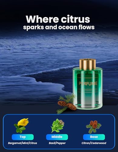 Smart Car Air Freshener Refill (4.06 Fl Oz)