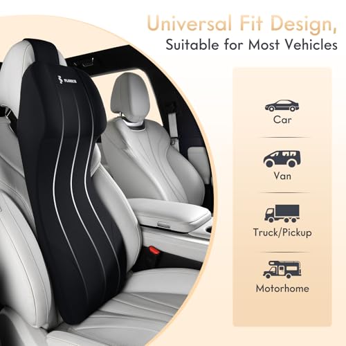 Lumbar Support with Car Headrest Pillow 2