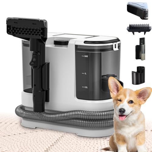 Portable Carpet & Upholstery Cleaner