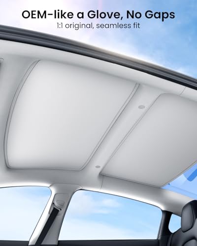 Tesla Model 3 (2 Count)