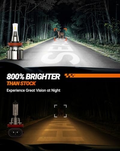 9005 H11 LED Bulbs (2 Count)