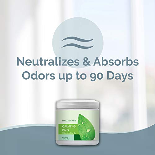 15oz Gel Odor Eliminator (30 Ounce)