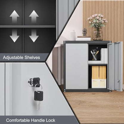 Garage Wall Cabinet
