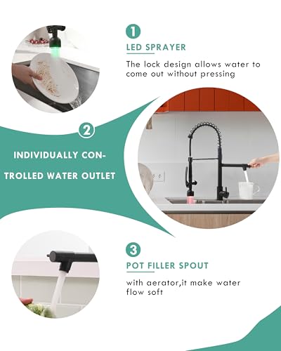 Black Kitchen Faucet with Pull Down Sprayer