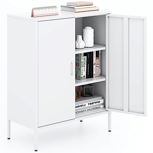 Metal Storage Cabinet with Doors and Shelves