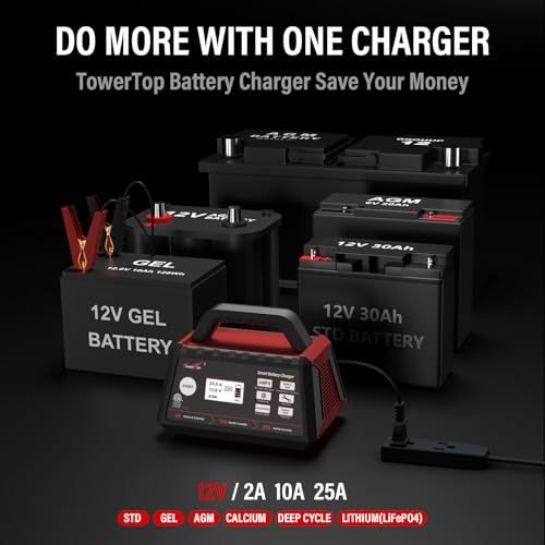 2/10/25 Amp 12V Smart Car Battery Charger, Fully Automatic Battery Maintainer with Engine Start, Auto Desulfator, Battery Repair, Winter Mode, for AGM, STD, Gel, Deep Cycle Batteries