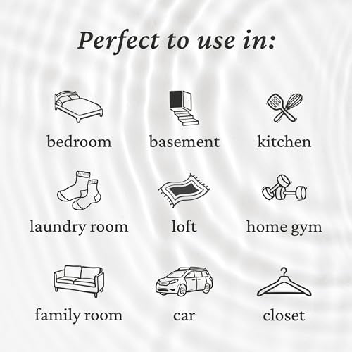 Odor Eliminator Spray for Room & Fabric (24 Fl Oz)