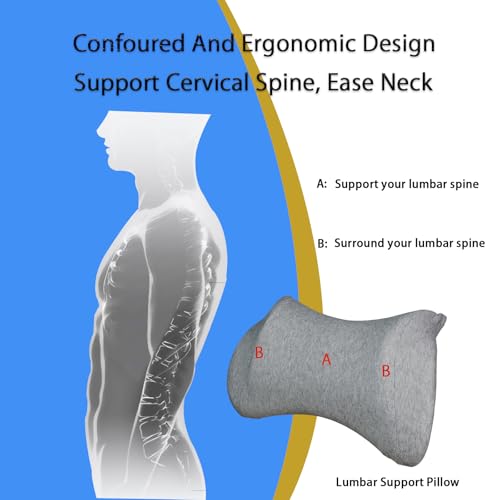 Lumbar Support Pillow for Car (2 Count)