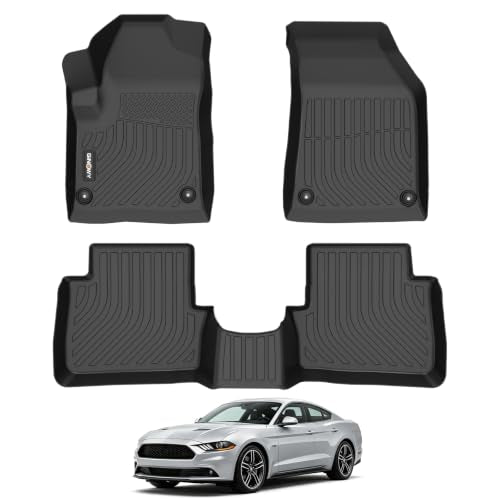 GINNOWY Floor Mats for 2013