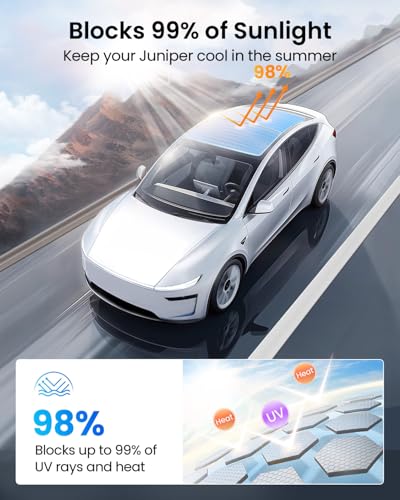 Tesla Model Y Juniper (2 Count)
