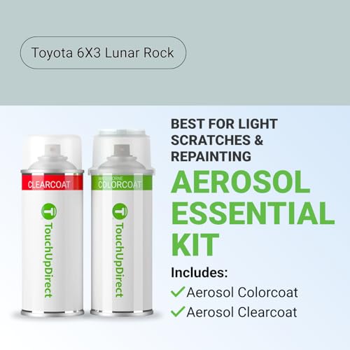 Car Paint Touch Up Spray Kit
