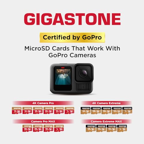 5 Years Data Recovery】 GIGASTONE 1TB Micro SD Card 4