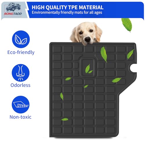Cargo Mat & Backrest Mats for 2010