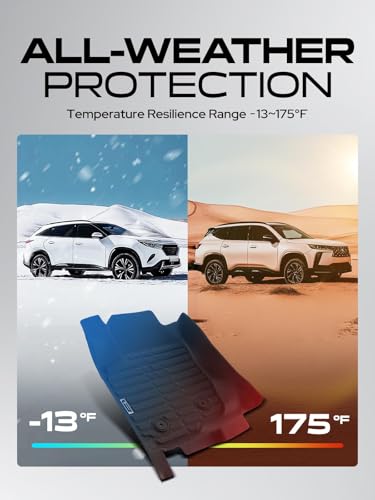 Automotive Floor Mats for Toyota RAV4 2006 (3 Count)