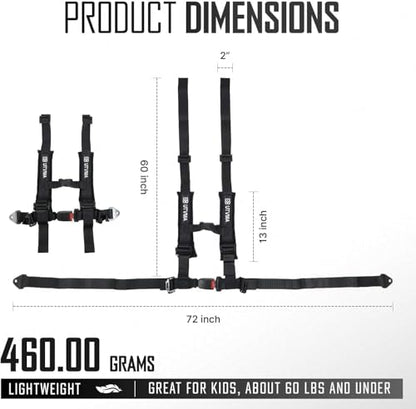 Bump Seat with 4