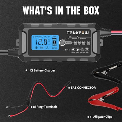 6V 12V 6A Automatic Battery Charger