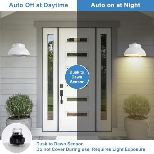 LED Outdoor Wall Lights (2 Count)