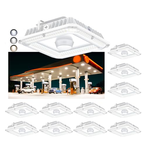 12Pack LED Canopy Light Dusk to Dawn