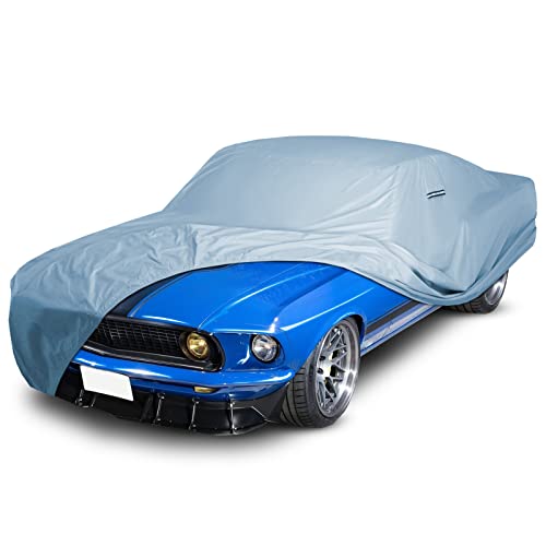 Car Cover for 1969