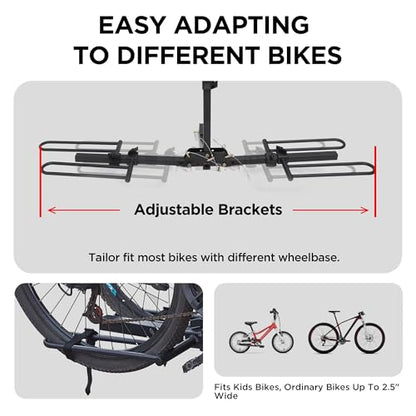 Young 2 Bike Rack Hitch Mount Foldable Platform Style