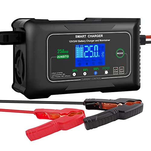 25 Amp Lithium Battery Charger