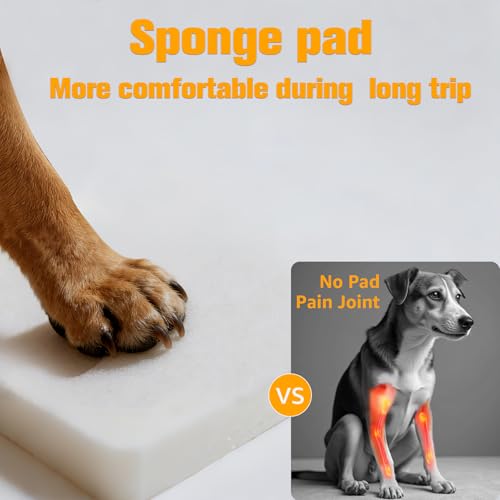 Dog Car Seat Cover for Back Seat
