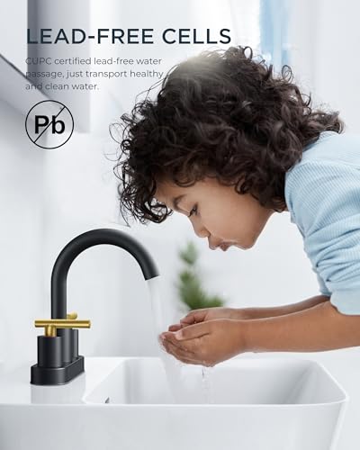 Bathroom Sink Faucet 3 Hole Black and Gold 4 Inch Centerset