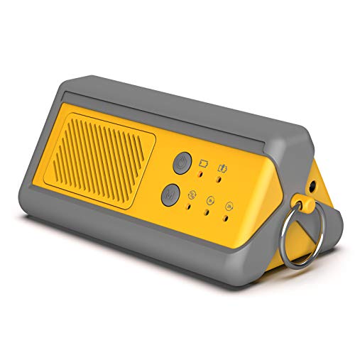 PA1K GO Portable Ozone Generator