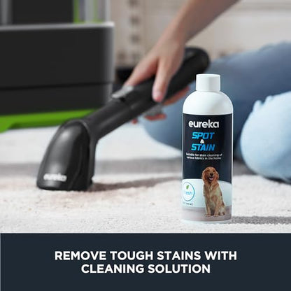 Portable Carpet and Upholstery Cleaner