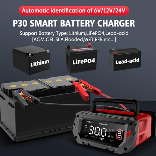 30 Amp 6V 12V