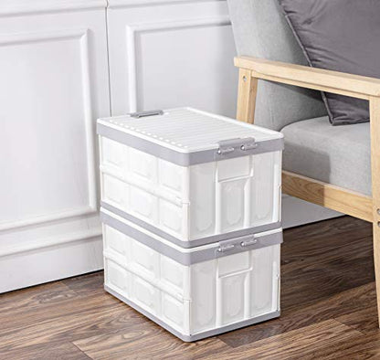 Collapsible Storage Bins with Lids 30L (2 Count)