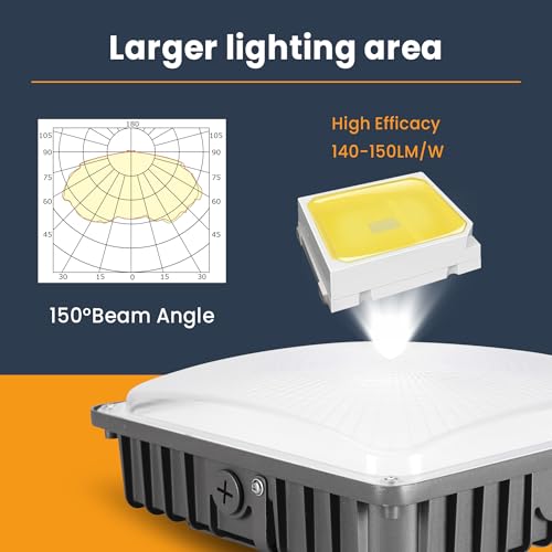 LED Canopy Light 100W