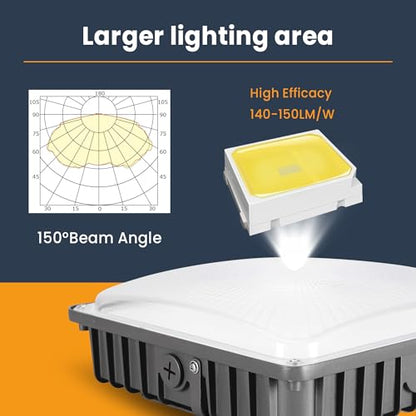 LED Canopy Light 100W