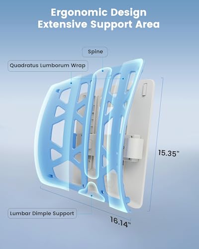 Lumbar Support Pillow for Office Chair