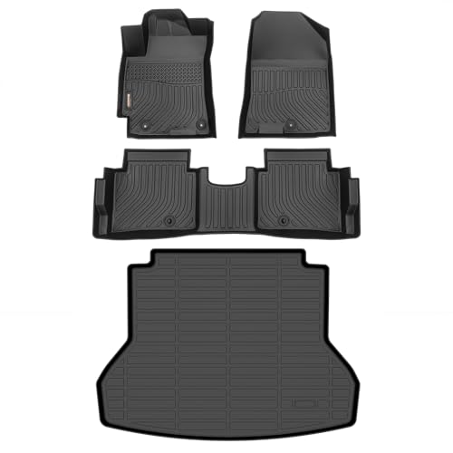 Floor Mats & Cargo Liner for 2017