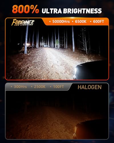 H4 Fog Light Bulbs