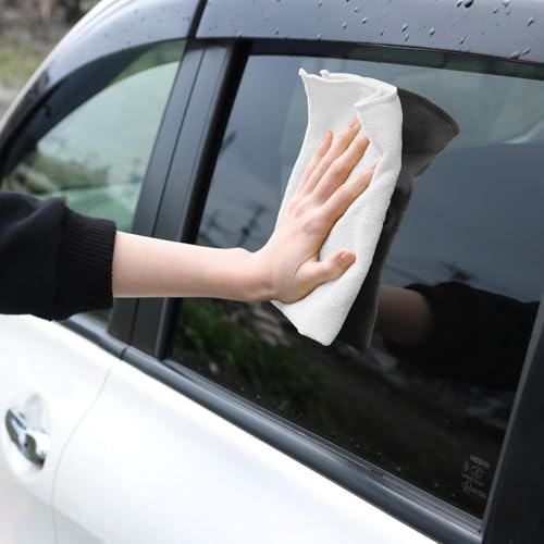 Microfiber Cleaning Cloths (12 Count)