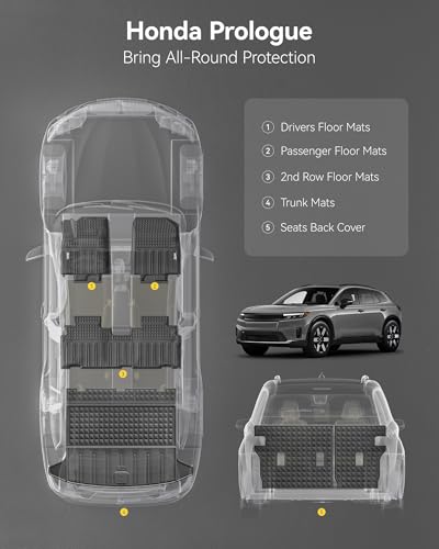 Floor Mats & Cargo Liner & seatback mats for 2024